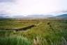 08Connemara1.jpg