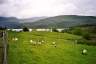 11KillaryHarbour1.jpg