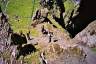 33SkelligIslands11.jpg