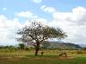 29Tsavo.jpg