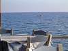dsc05609.jpg