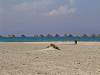 dsc05663.jpg