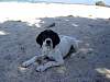 dsc05664.jpg