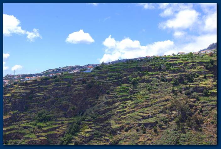 680x451 pixels (51K)