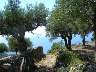 DSC042881.jpg